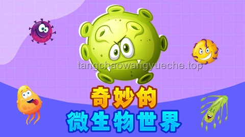 《大孔宽盖》科普小课堂：了解微生物世界的奇妙构造